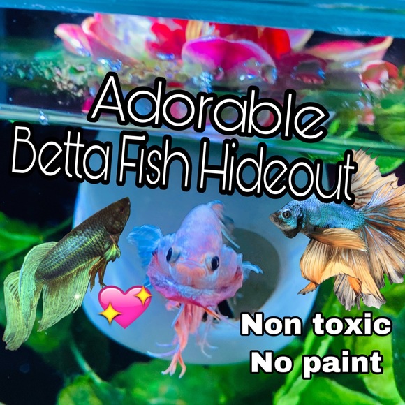 Betta Fish hideout - Picture 10 of 10